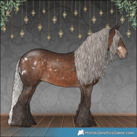 Horse Color:White Spotted Silver Brown