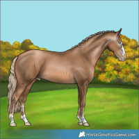Horse Color:Gray Chocolate Palomino Pearl 