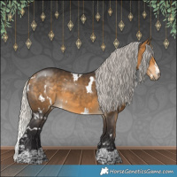 Horse Color:White Spotted Silver Buckskin 