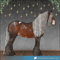 Horse Color:White Spotted Silver Brown