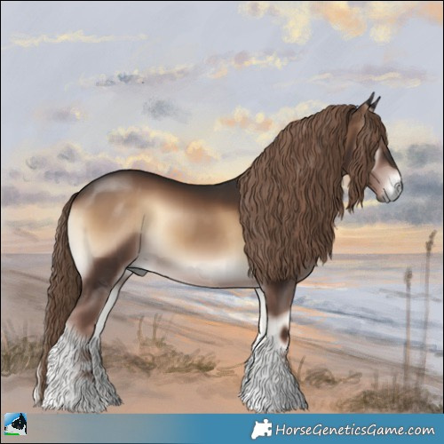 Horse Color:Liver Red Onyx Sabino Rabicano 