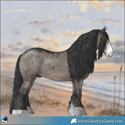 Horse Color:Grullo Mushroom Sabino Brindle 