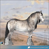 Horse Color:Brown Onyx Mushroom Sabino Rabicano Brindle