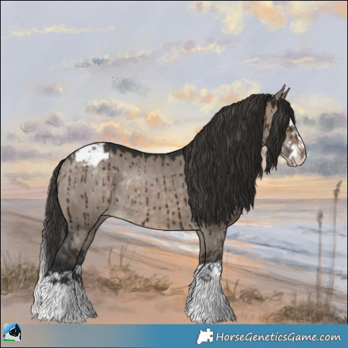 Horse Color:Brown Dun Mushroom Splash Appaloosa Rabicano Brindle 