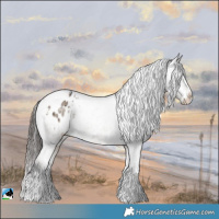 Horse Color:Brown Dun Mushroom Splash Varnish Rabicano Brindle 