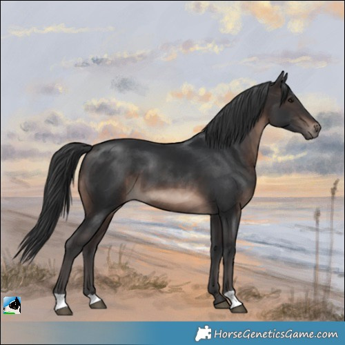 Horse Color:Brown Mushroom 