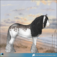 Horse Color:Brown Dun Mushroom Sabino Splash Rabicano Brindle