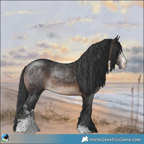 Horse Color:Brown Mushroom Sabino 