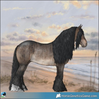 Horse Color:Brown Dun Rabicano Brindle 