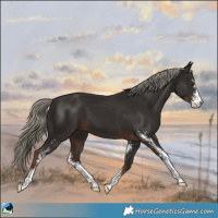 Horse Color:Liver Chestnut Mushroom Sabino 