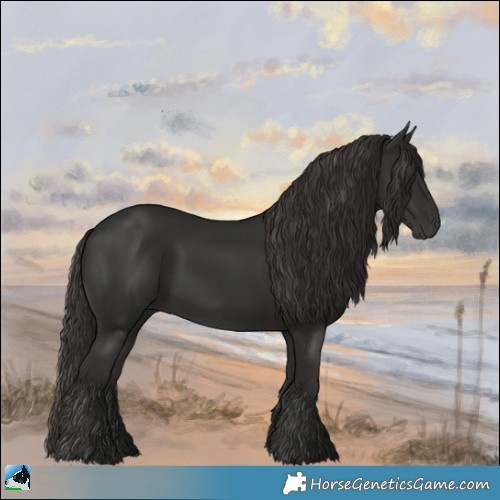 Horse Color:Liver Chestnut Rabicano 