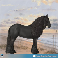 Horse Color:Liver Chestnut Rabicano