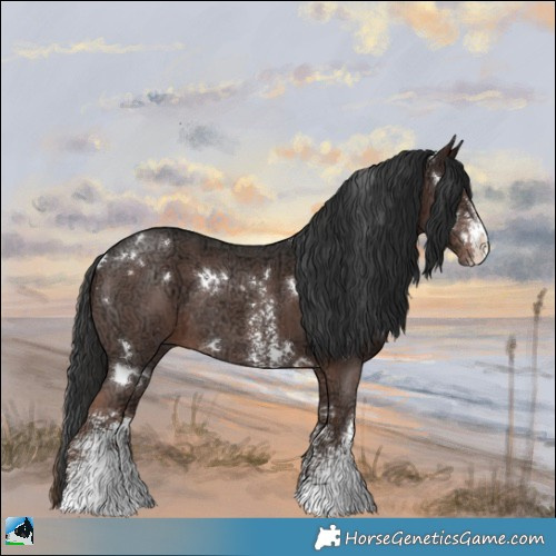 Horse Color:White Spotted Liver Chestnut Ice Sabino Rabicano