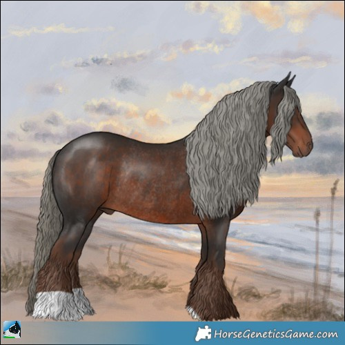 Horse Color:Liver Chestnut Mushroom Rabicano 