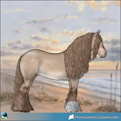 Horse Color:Liver Red Dun 