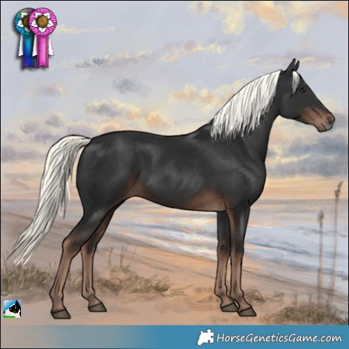 Horse Color:Liver Chestnut Mushroom 