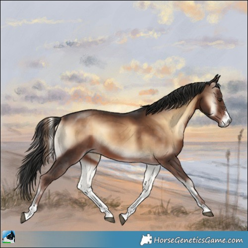 Horse Color:Liver Red Onyx Sabino