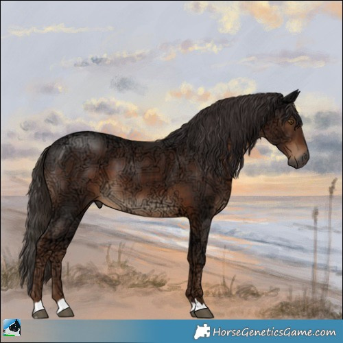 Horse Color:Gray Liver Chestnut Ice 