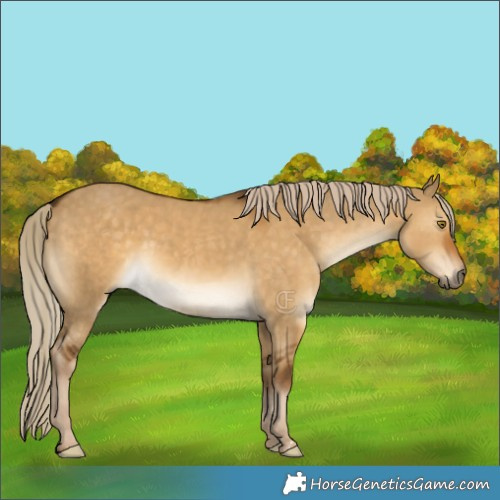 Horse Color:Chocolate Palomino Dun 