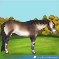 Horse Color:Brown Onyx Rabicano 