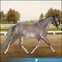 Horse Color:White Spotted Liver Red Roan Mushroom 