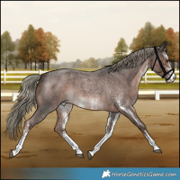 Horse Color:White Spotted Liver Red Roan Mushroom 