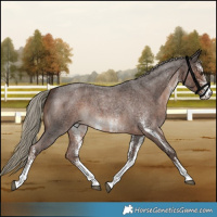 Horse Color:White Spotted Liver Red Roan Mushroom