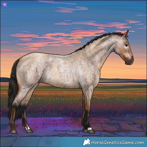 Horse Color:Gray Bay Roan  and Gray Amber Champagne Roan 