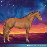 Horse Color:Chestnut and Chestnut Rabicano