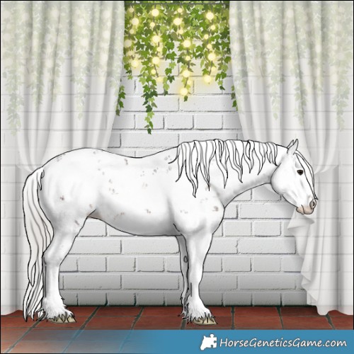 Horse Color:Silver Brown Sabino 
