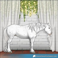 Horse Color:Silver Brown Sabino