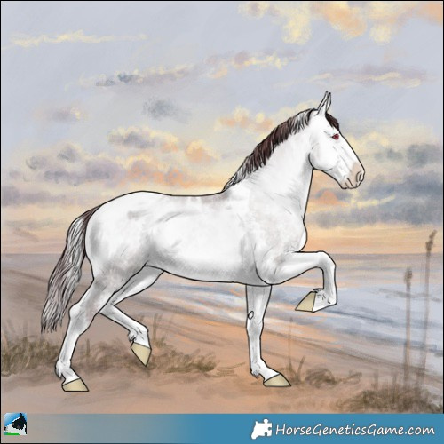 Horse Color:Chocolate Buckskin Chinchilla Onyx Sabino Tobiano