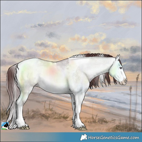 Horse Color:Chocolate Buckskin Chinchilla Onyx Sabino Tobiano 