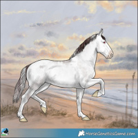 Horse Color:Chocolate Buckskin Chinchilla Onyx Sabino Tobiano 