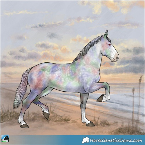 Horse Color:Nacre Silver Grullo Chinchilla Sabino Rabicano 