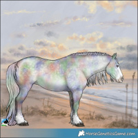 Horse Color:Nacre Silver Grullo Chinchilla Sabino Rabicano 
