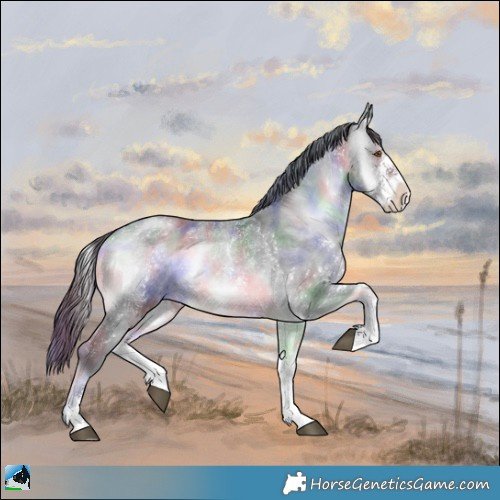 Horse Color:Nacre Brown Chinchilla Onyx Sabino