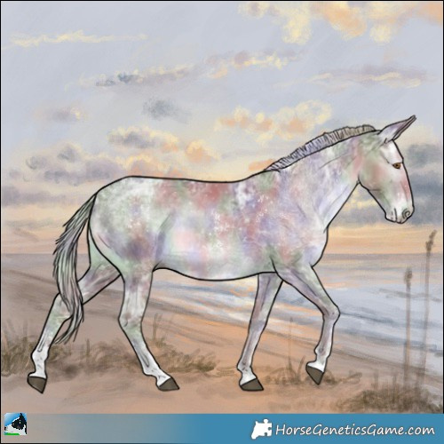 Horse Color:Nacre Chocolate Silver Black Chinchilla Ice Sabino 