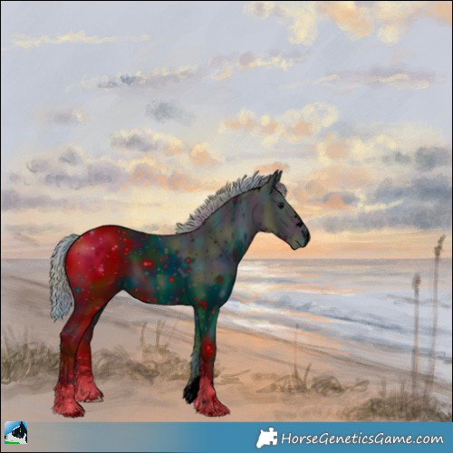 Horse Color:ERROR: UNKNOWN ANOMALY