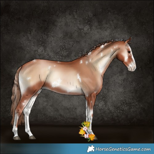 Horse Color:White Spotted Blue Onyx Pearl Splash Tobiano