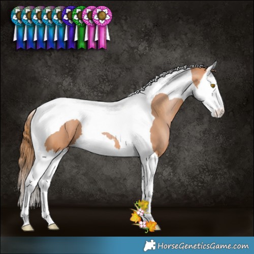 Horse Color:Bay Pearl Splash Tobiano 