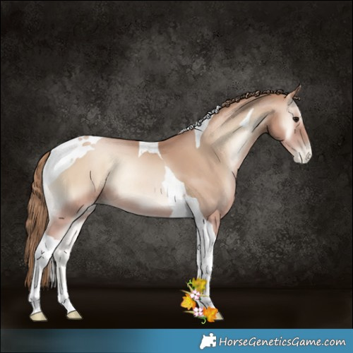 Horse Color:Blue Onyx Pearl Mushroom Tobiano