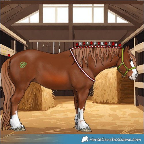 Horse Color:Chestnut 