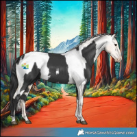 Horse Color:Black  and Palomino Pearl Appaloosa 