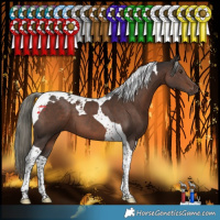 Horse Color:Liver Chestnut Mushroom Tobiano 
