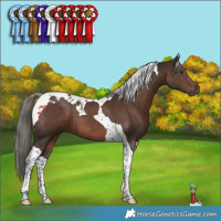 Horse Color:Liver Chestnut Mushroom Tobiano 