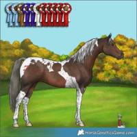 Horse Color:Liver Chestnut Mushroom Tobiano 