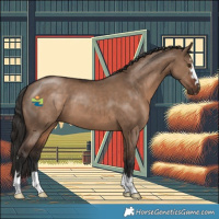 Horse Color:Liver Red Dun 