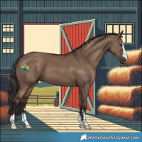 Horse Color:Liver Red Dun 