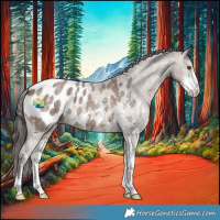 Horse Color:Liver Red Dun Sabino Appaloosa